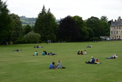 DSC_2610 (Large).JPG